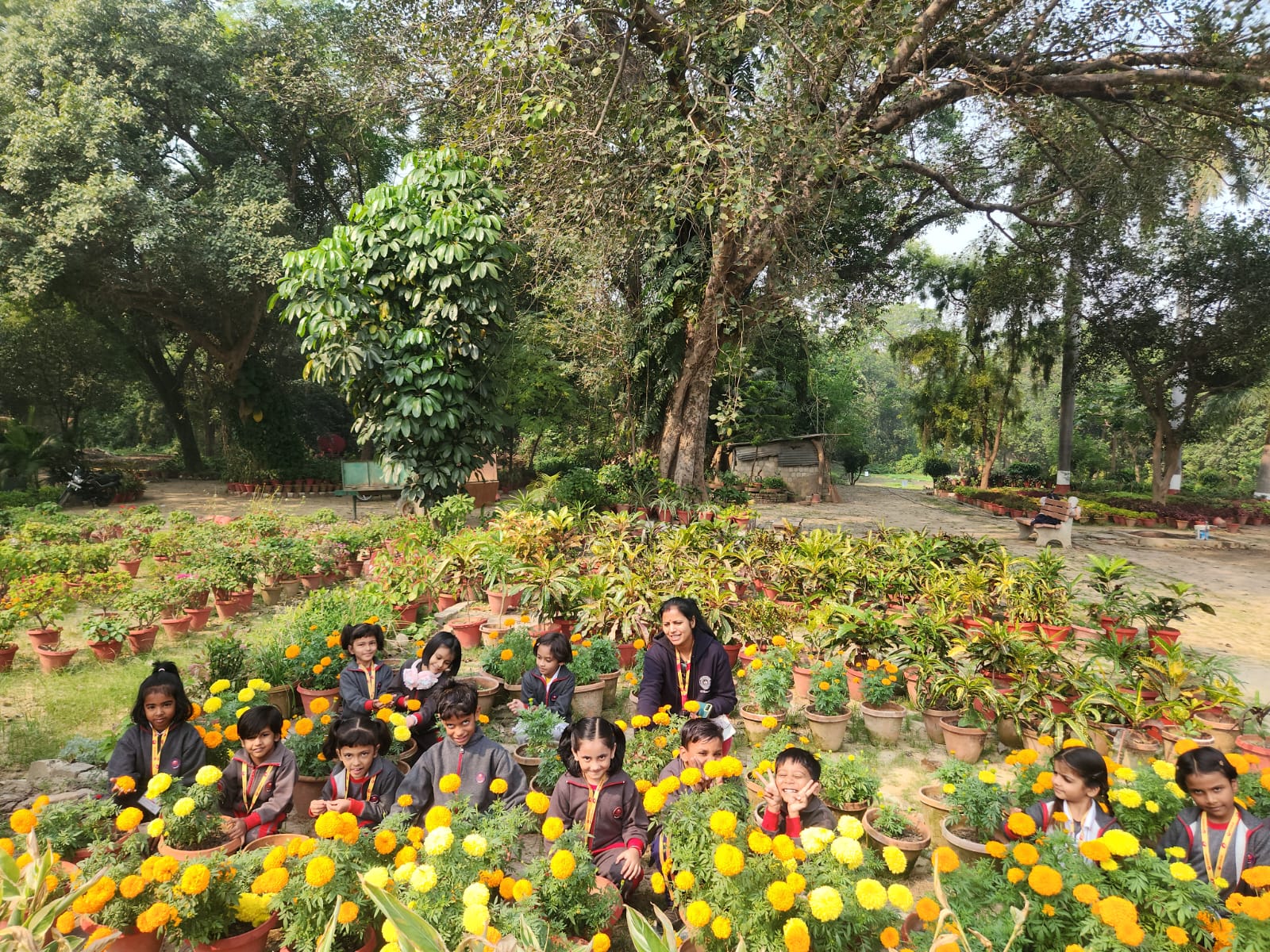 Picnic Day Memories